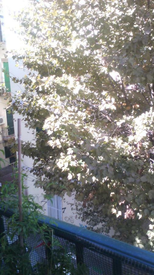 Luce Di Napoli